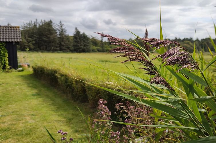 Vakantiehuis "Cillvur" - 8km from the sea