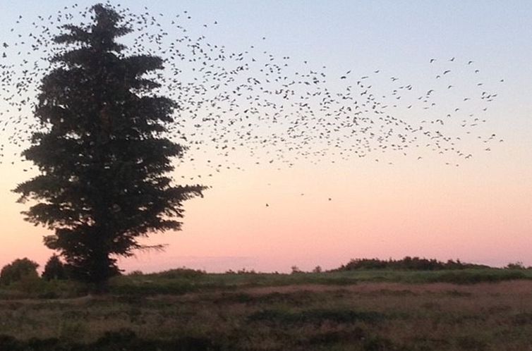 Vakantiehuis "Stig" - 1km from the sea