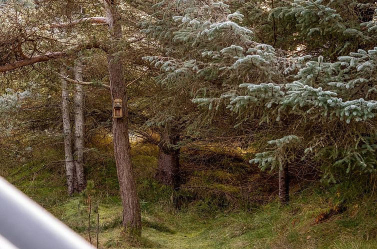 Vakantiehuis "Ejla" - 600m from the sea