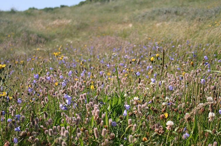 Vakantiehuis "Gisa" - 400m from the sea