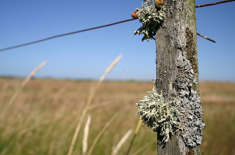 Vakantiehuis "Gisa" - 400m from the sea