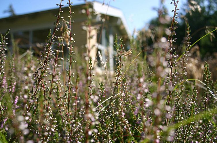 Vakantiehuis "Gisa" - 400m from the sea
