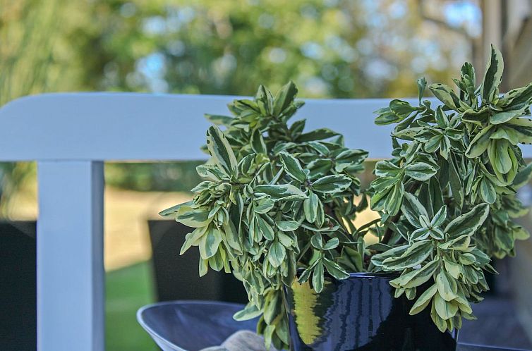 Vakantiehuis "Swavi" -  from the sea