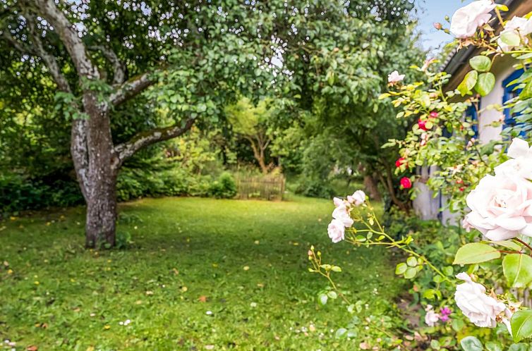 Vakantiehuis "Agrippa" - 30m to the fjord