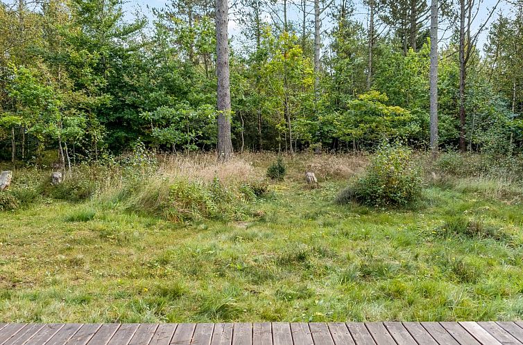 Vakantiehuis "Reinfried" - 250m from the sea