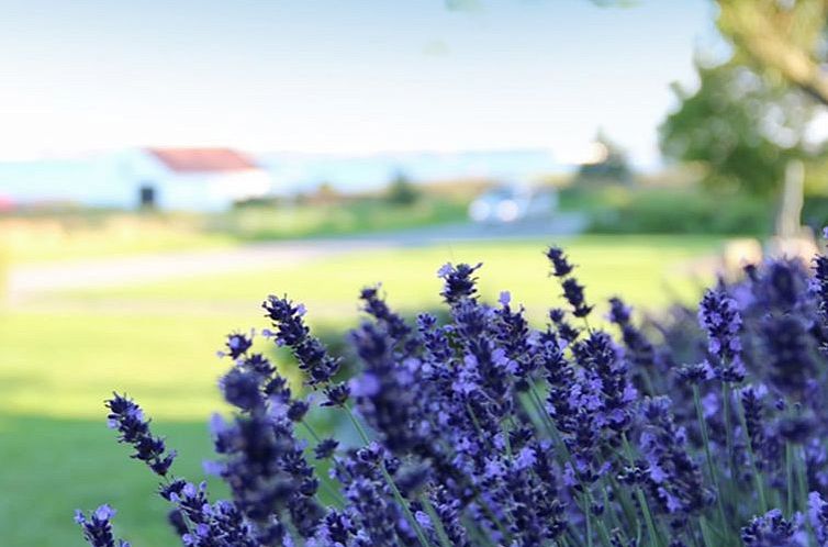 Vakantiehuis "Rina" - 30m to the fjord