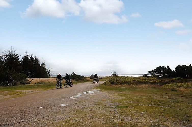 Vakantiehuis "Eljas" - 200m to the fjord