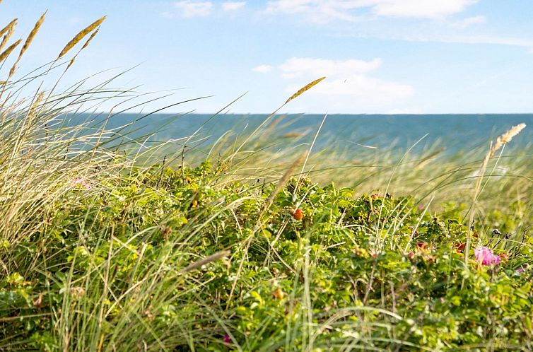 Vakantiehuis "Ebba" - 25m from the sea