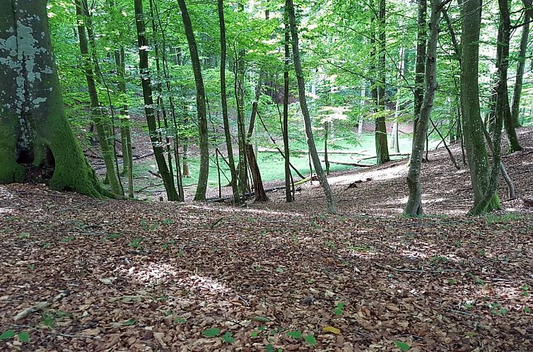 Vakantiehuis "Grep" - 800m from the sea
