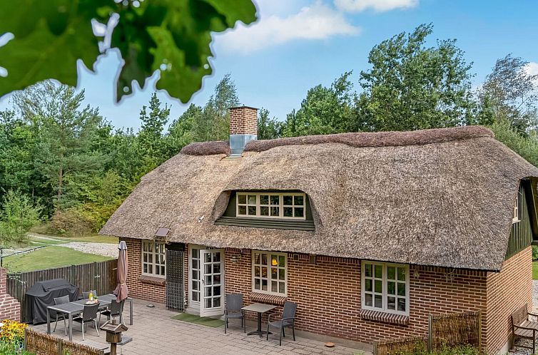 Guest house 0142509 - Holiday property North Jutland - Vakantiehuis "Hilaria" - 2.1km from the sea