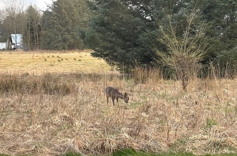 Vakantiehuis "Marla" - 1.1km from the sea