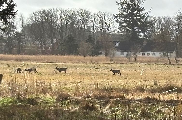 Vakantiehuis "Marla" - 1.1km from the sea