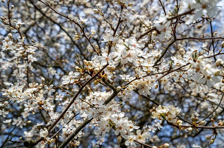 Vakantiehuis "Sunna" - 1.2km from the sea