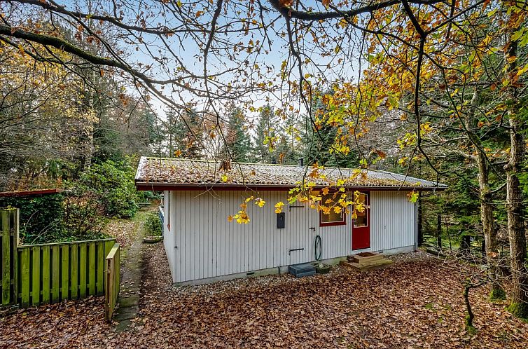 Vakantiehuis "Ennignup" - 600m to the fjord