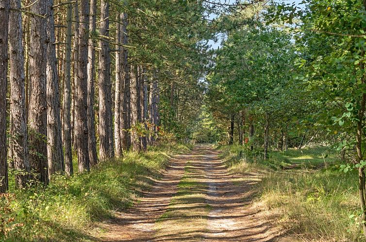 Vakantiehuis "Beatrix" - 700m from the sea