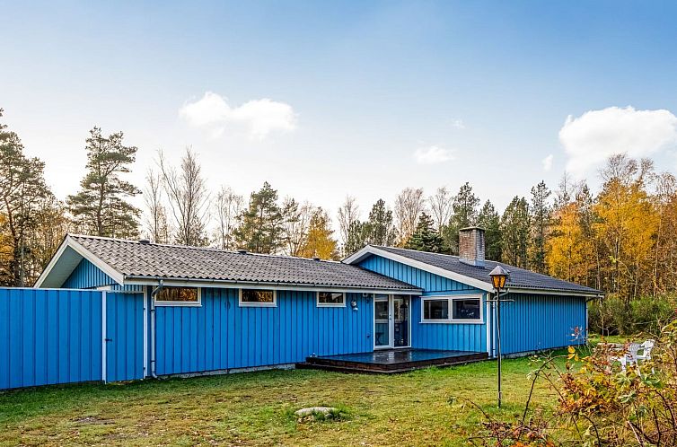 Unterkunft 0143680 - Ferienhaus Nordjütland - Vakantiehuis "Alika" - 300m from the sea