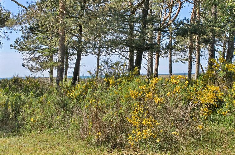 Vakantiehuis "Hatem" - 200m from the sea