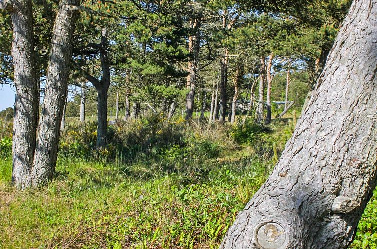 Vakantiehuis "Hatem" - 200m from the sea