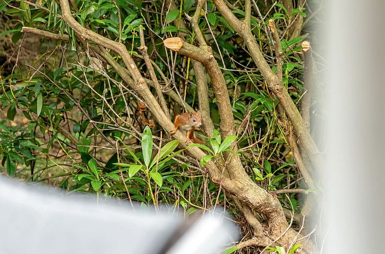 Vakantiehuis "Melisa" - 3km from the sea