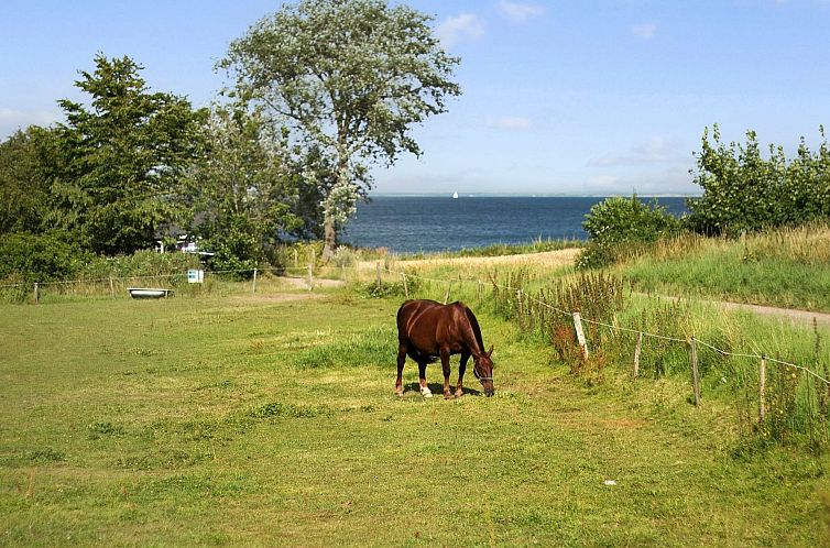 Vakantiehuis "Ady" - 150m from the sea