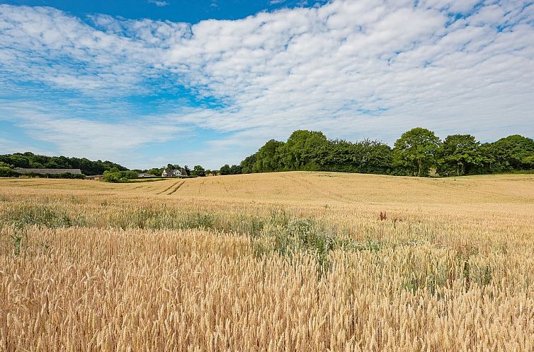 Vakantiehuis "Edithe" - 250m from the sea