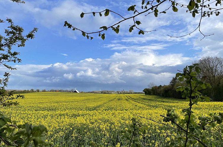 Vakantiehuis "Elvin" - 2.7km from the sea