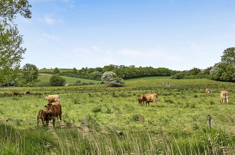 Vakantiehuis "Sigbritt" - 100m from the sea