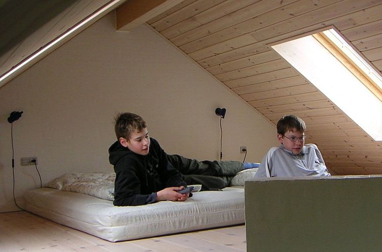 Vakantiehuis Modernes, geräumiges Haus mit großer Terrasse