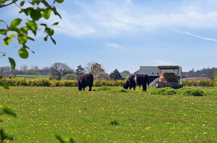 Vakantiehuis "Bjarke" - 200m from the sea