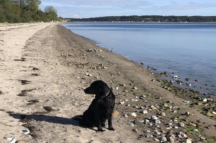 Vakantiehuis "Lander" - 20m from the sea