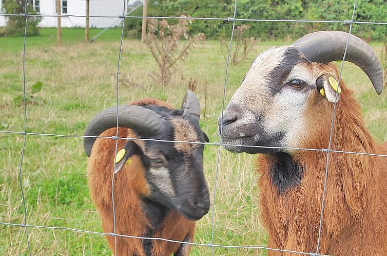 Vakantiehuis "Iorund" - 550m from the sea