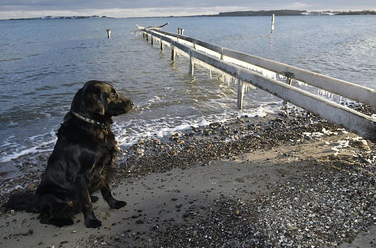 Vakantiehuis "Lander" - 20m from the sea
