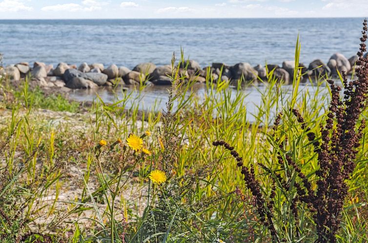 Vakantiehuis "Drifa" - 20m from the sea