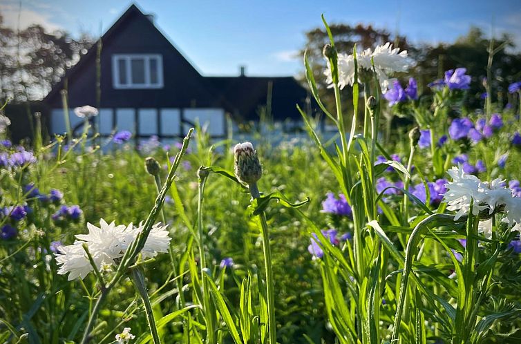 Vakantiehuis "Thessa" - 4km from the sea