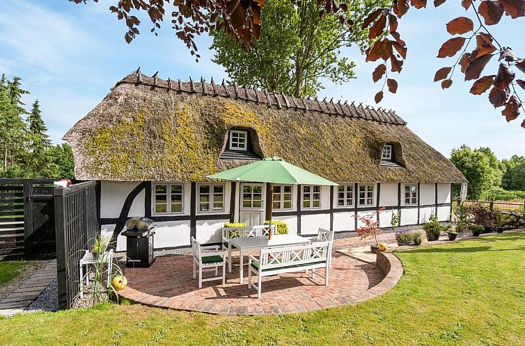 Unterkunft 0151306 - Ferienhaus Southern Danmark - Vakantiehuis "Maileen" - 2.1km to the fjord