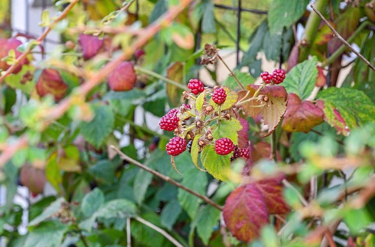 Vakantiehuis "Kalli" - 100m from the sea