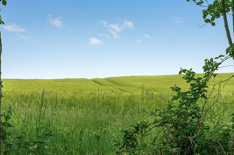 Vakantiehuis "Thorwer" - 250m from the sea