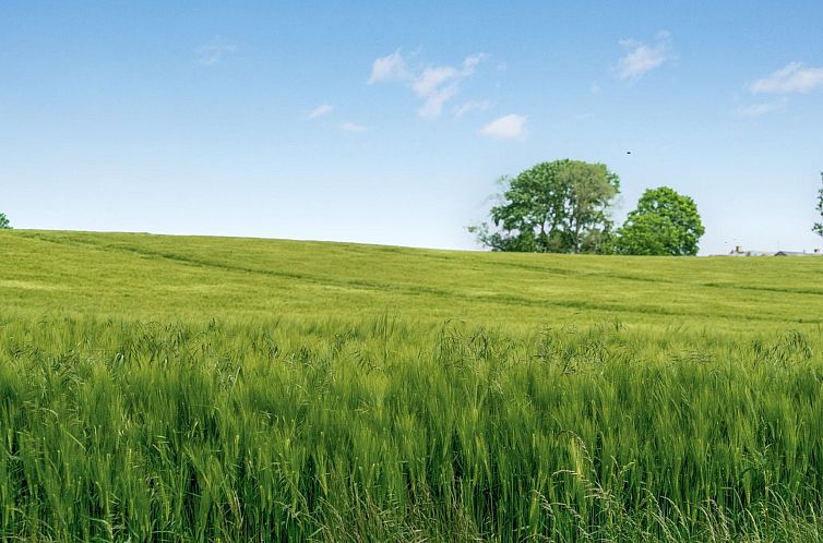 Vakantiehuis "Thorwer" - 250m from the sea