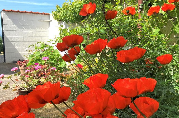 Vakantiehuis "Merete" - 50m from the sea