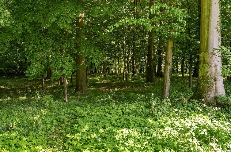 Vakantiehuis "Sirkku" - 320m from the sea