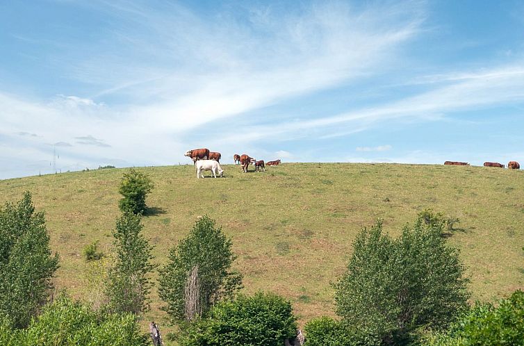Vakantiehuis "Raija" - 400m from the sea