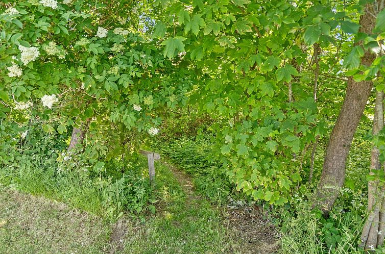 Vakantiehuis "Dvonta" - 170m from the sea