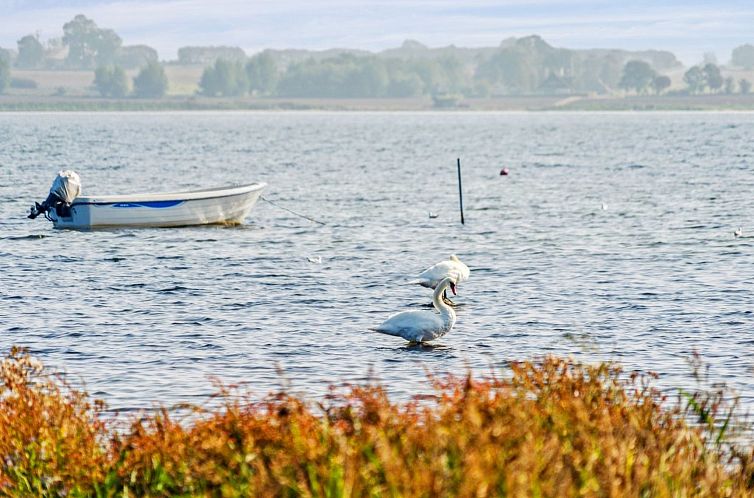 Vakantiehuis "Gyrth" - 20m to the fjord