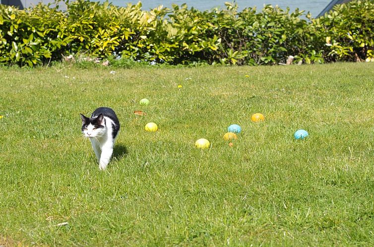 Vakantiehuis "Hilde" - 75m from the sea