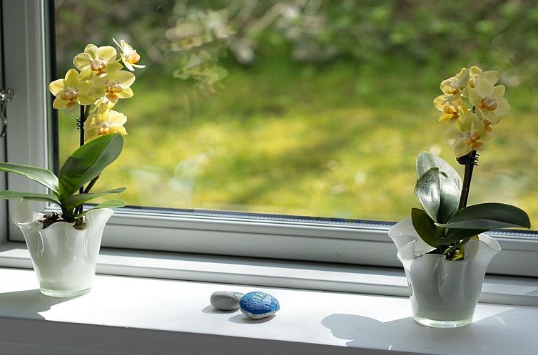 Vakantiehuis "Hilde" - 75m from the sea