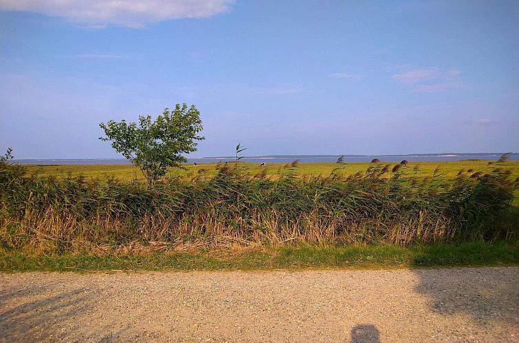 «Seaside Escape in Ho Bay»