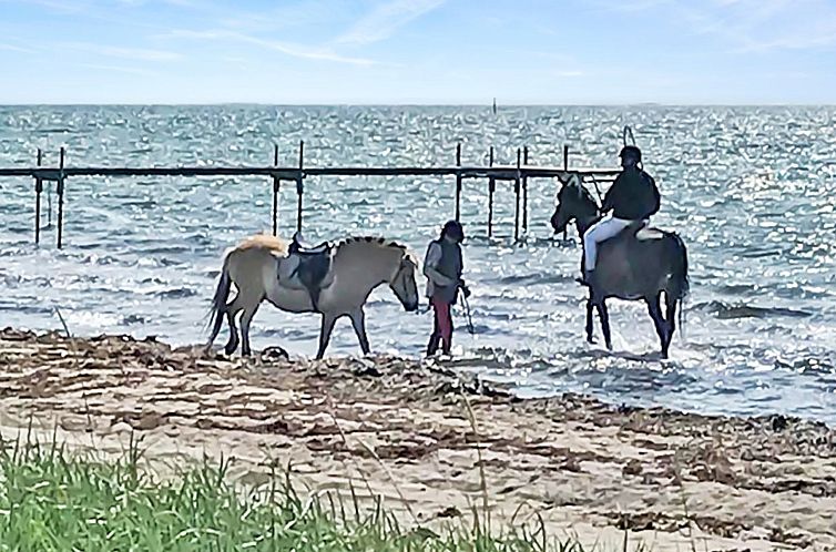 Vakantiehuis "Stacie" - 10m from the sea