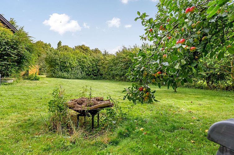 Vakantiehuis "Konrad" - 700m from the sea