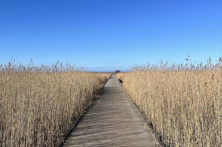 Vakantiehuis "Ela" - 800m from the sea