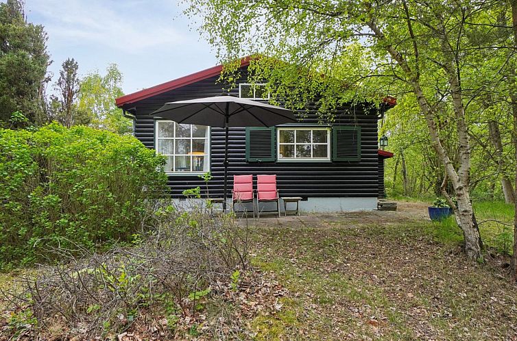 Vakantiehuis "Dalia" - 850m from the sea